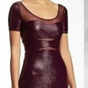 BCBG Maxazria Barlow Dark Purple Sequins & Mesh Mini Dress - Size Small